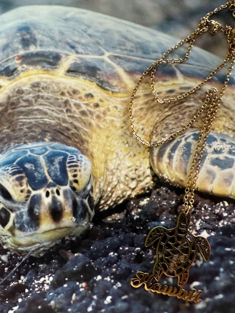 Hawaii Sea Turtle HONO Gold tone pendant and chain